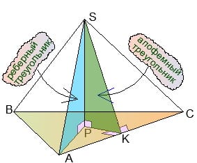 Реберный и апофемный треугольники