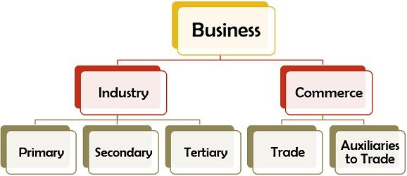 Classification of Business Activities