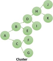 Cluster